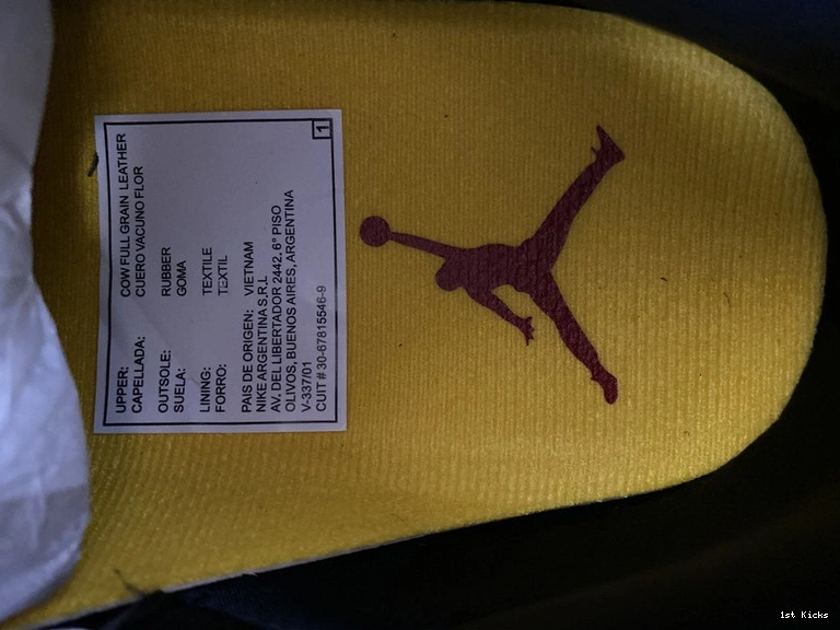 SE 3 Air Jordan 2.0” “Animal CV3583-003 Instinct 0925